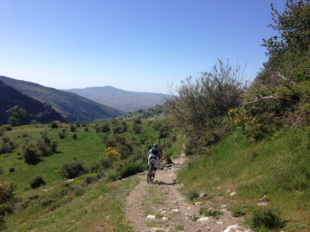 Mountain biking in Sierra Nevada