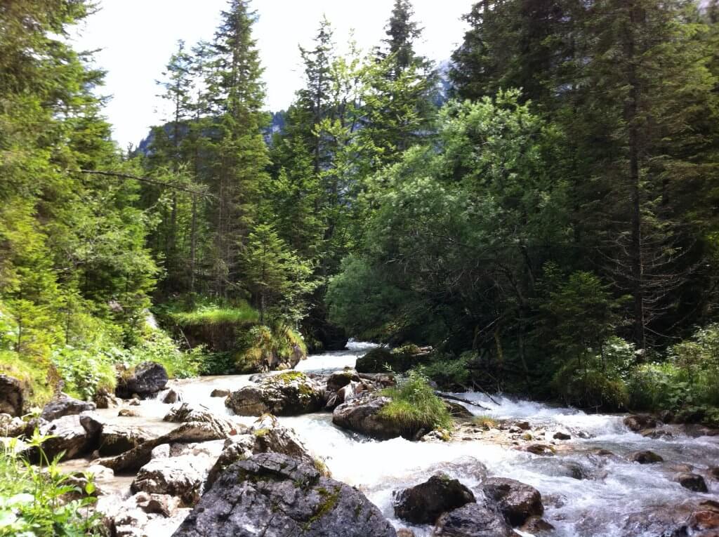 White water in Erhwald