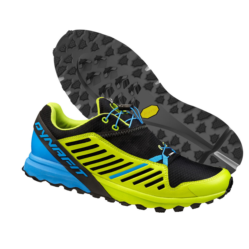 Dynafit Apline Pro trail running shoe