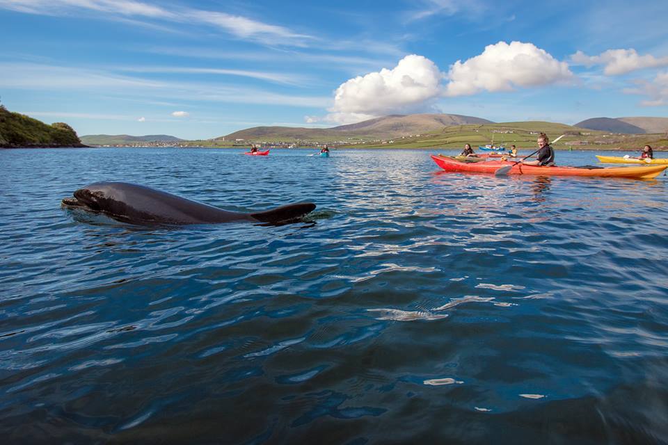 Things to Do in Kerry