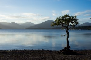 Best hikes in Europe West Highland Way