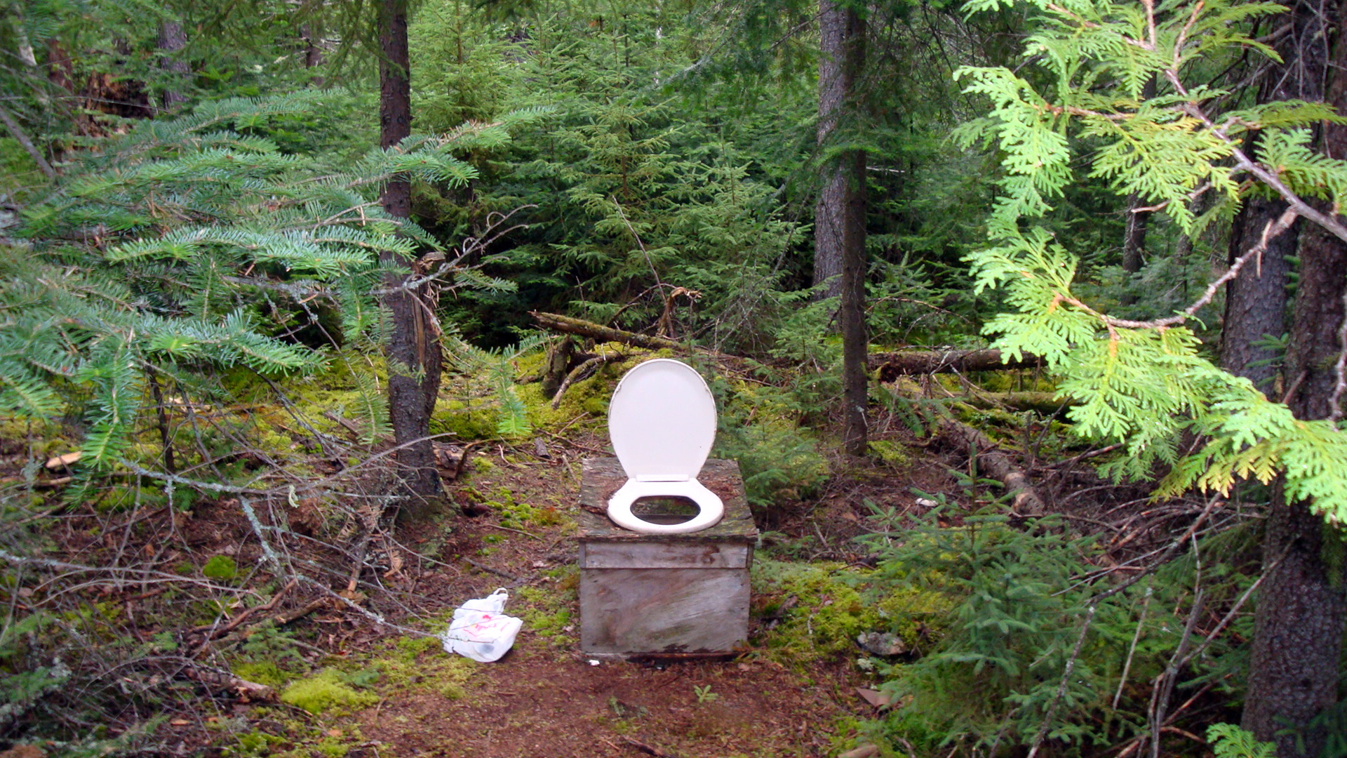 Camping How to Dig an Outdoor Toilet Outsider Magazine