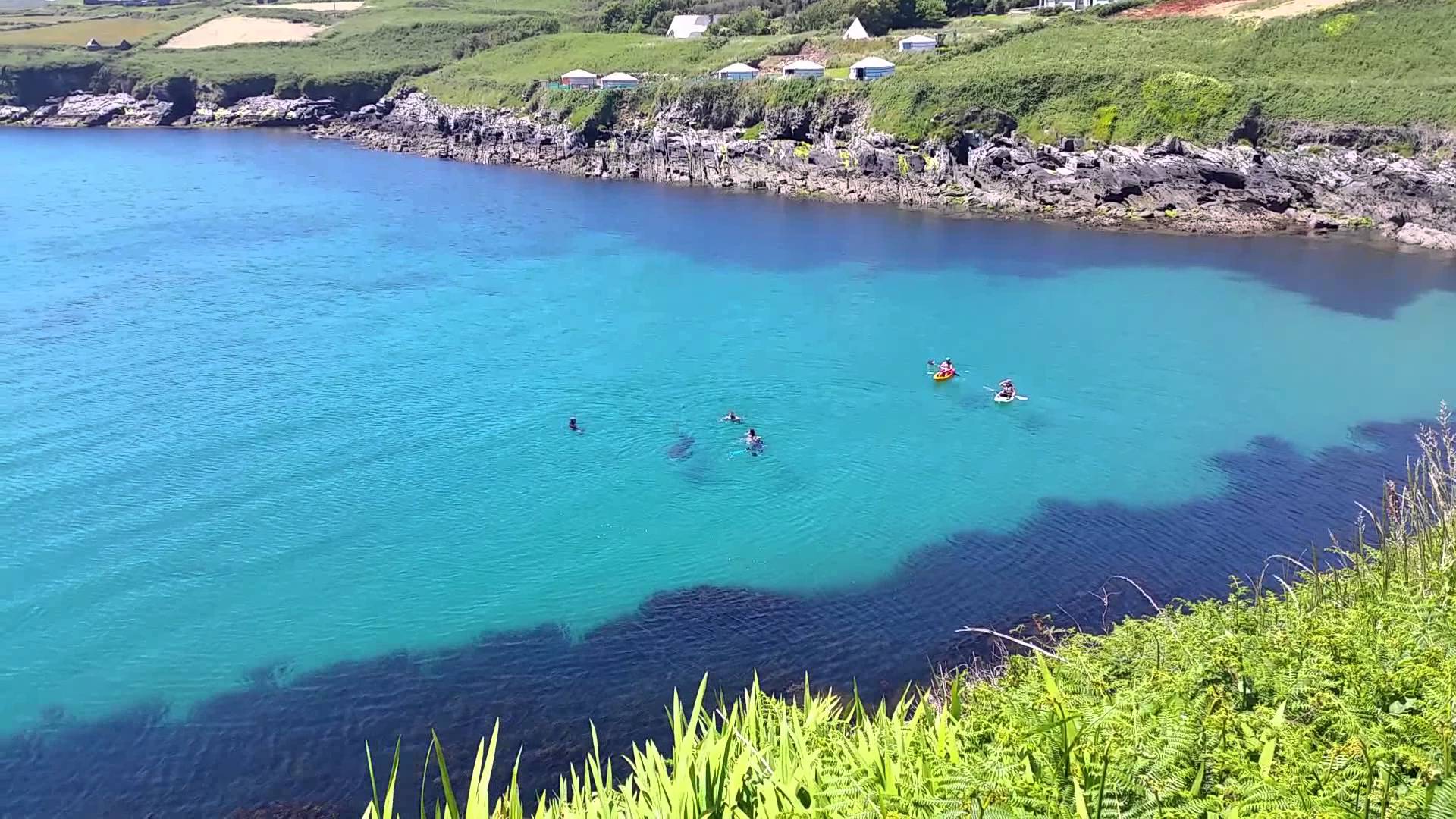 BAsking shark clare island irish island getaways