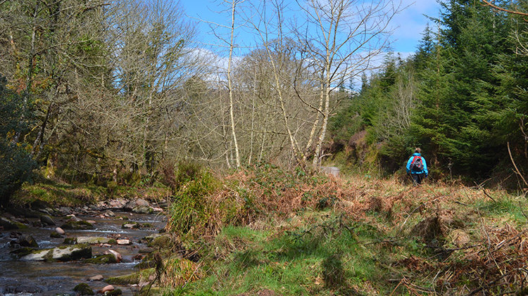 Galtee Mountains