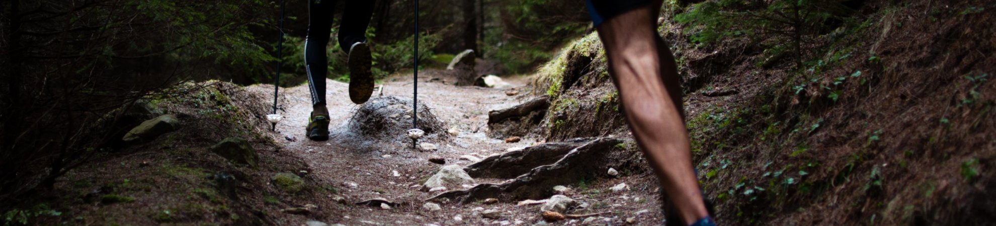 Trail Running: All the Gear you Need to Get Started