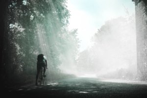 5 Tips to Revitalise your Bike