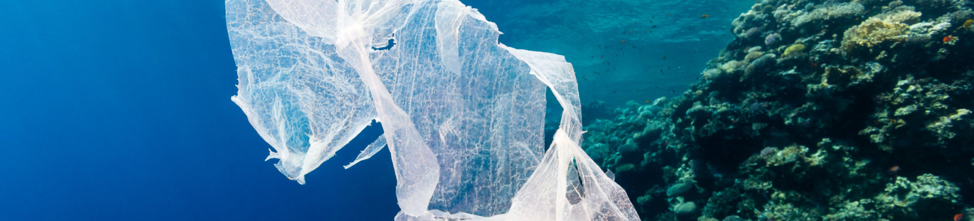 8 Pieces of Plastic to Stop Using Right Now