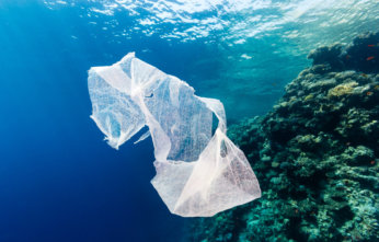 8 Pieces of Plastic to Stop Using Right Now