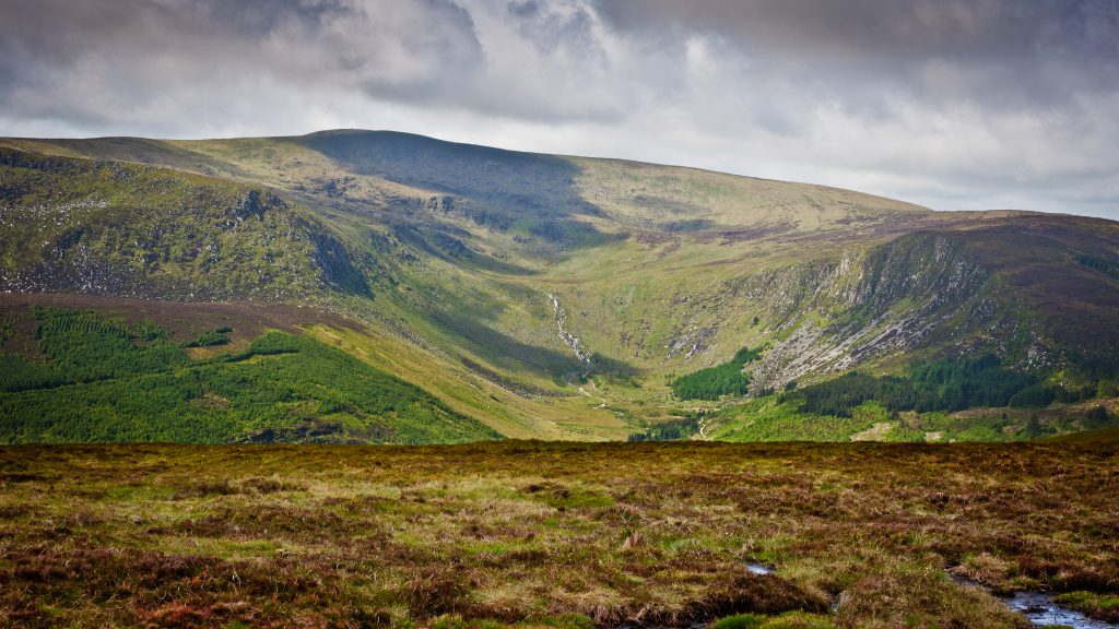 Things to do in Wicklow