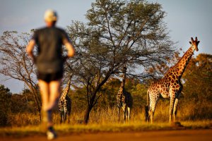 worlds quirkiest events SouthAfrica_BigFiveMarathon_RunnerAndGiraffe_045