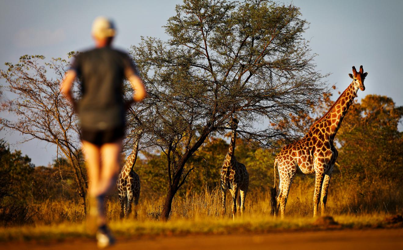 worlds quirkiest events SouthAfrica_BigFiveMarathon_RunnerAndGiraffe_045