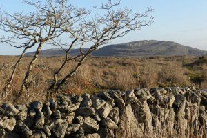 the Lough Avalla Farm Loop