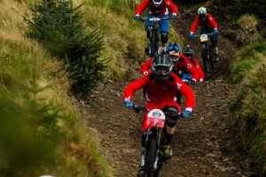 RedBull Foxhunt