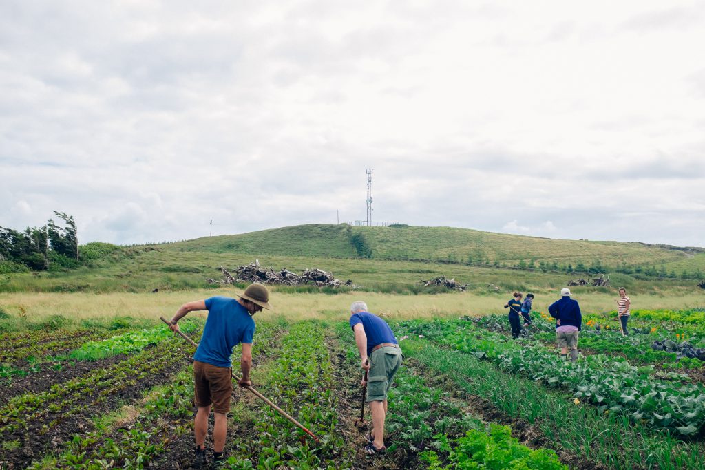 Moyhill Community Farm