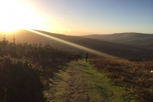 the wicklow way race
