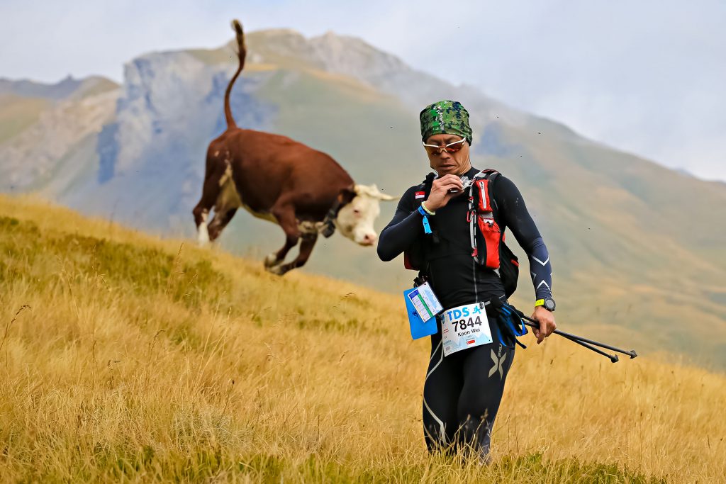 UTMB 2017 Gallery