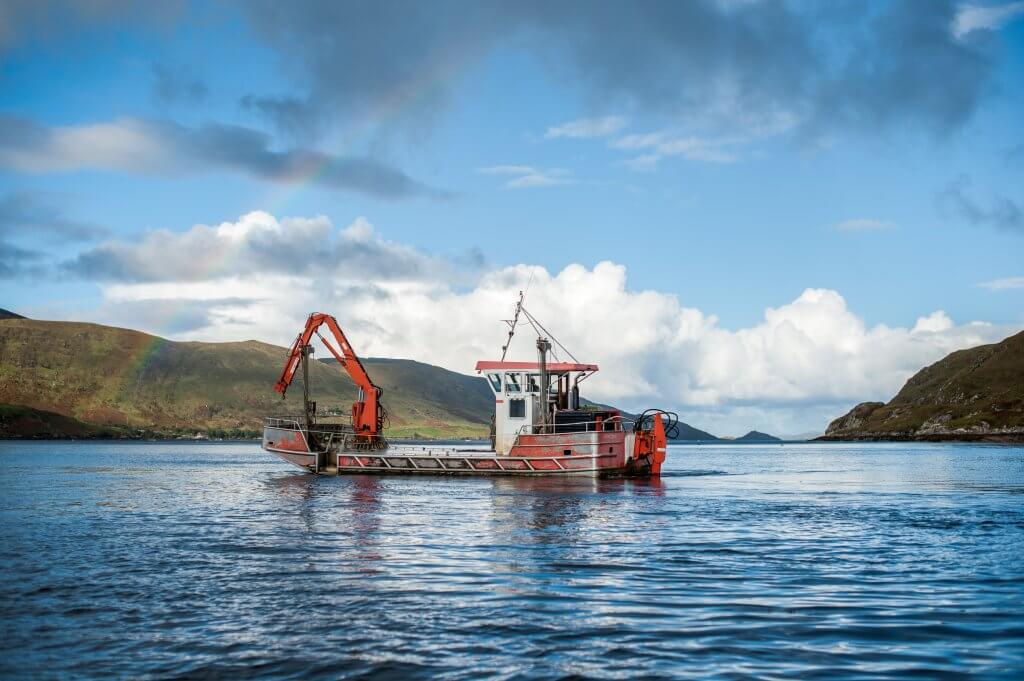 Great Fjord Swim Killary Harbour 