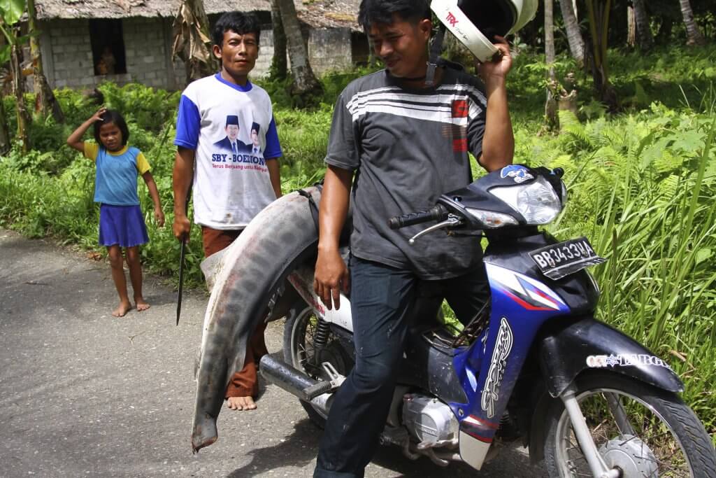 Surfing in Nias Indonesia