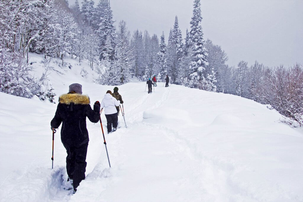 alternative ski holidays snowshoeing