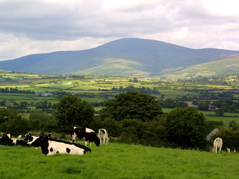 mount leinster