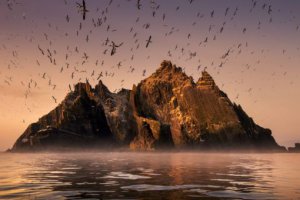 Wild Ireland