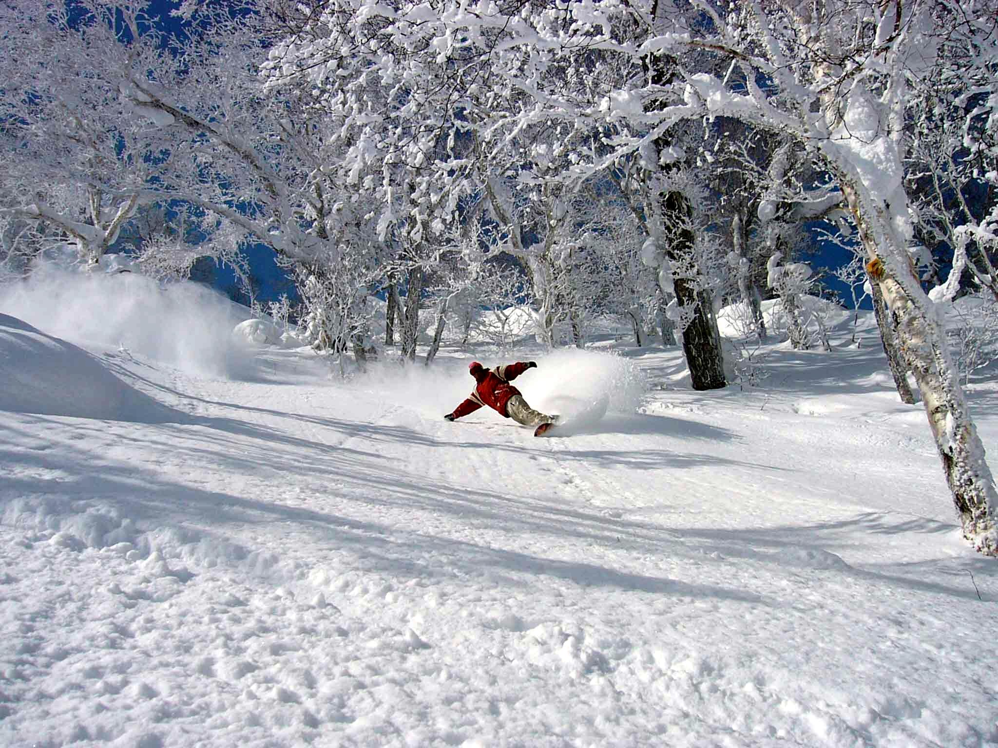 Skiing In Niseko Sushi Saki And Snow Outsider Magazine