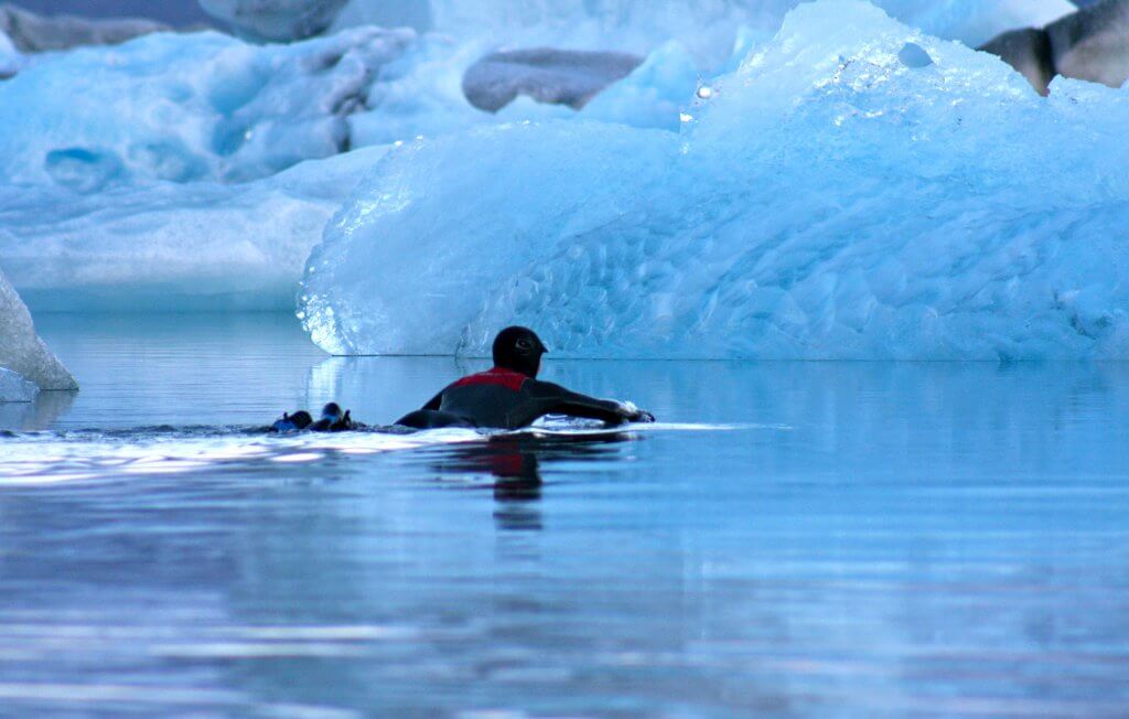 Surfing in Iceland