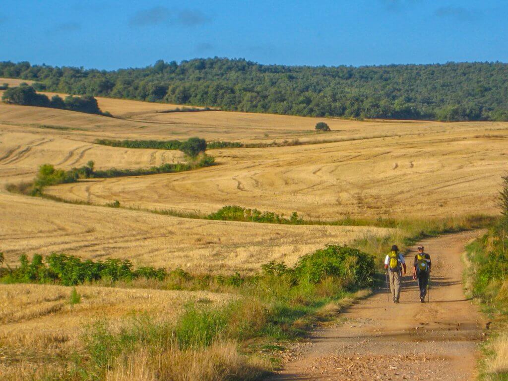 Hiking the Camino