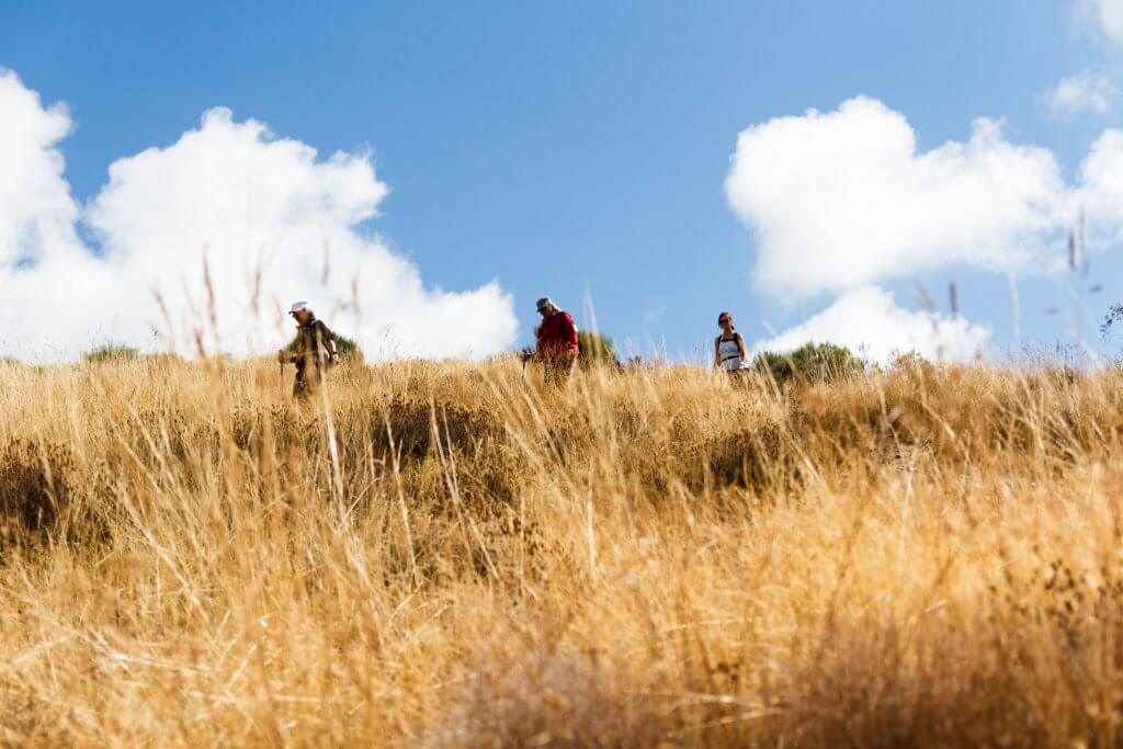 Hiking the Camino