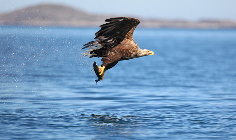 Lough derg blueway things to do (8)