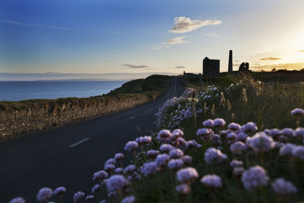 tourism courses waterford