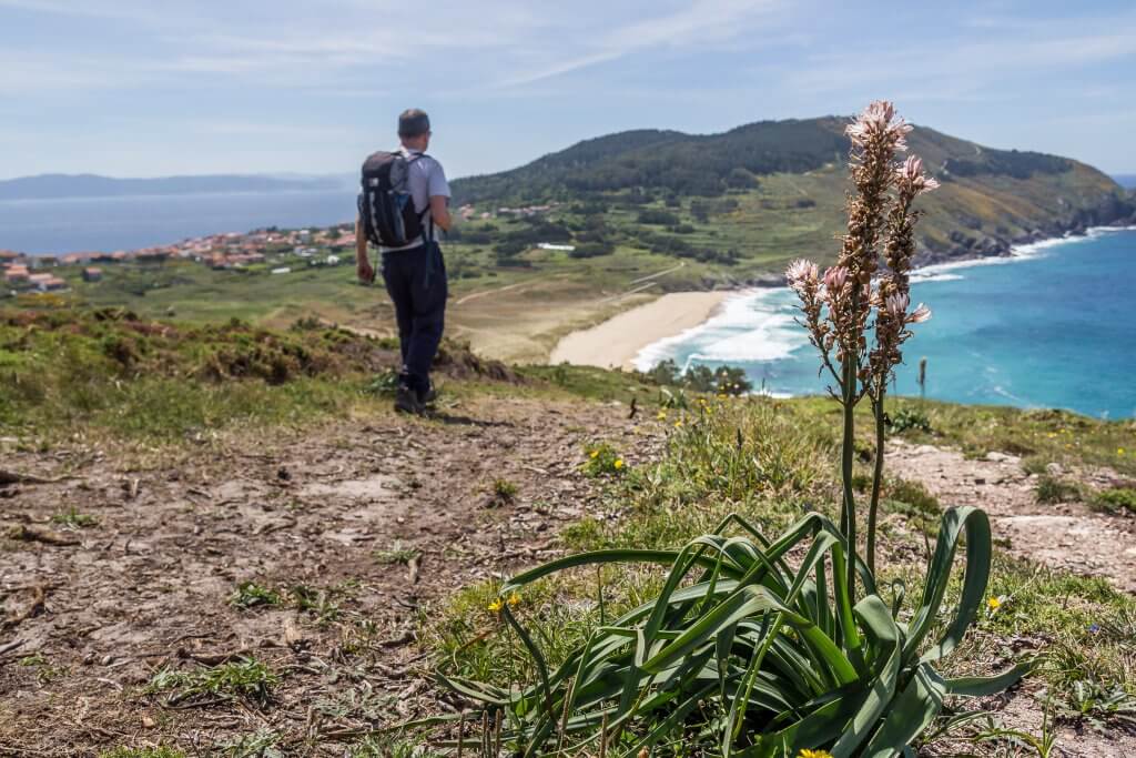 Hiking the Camino