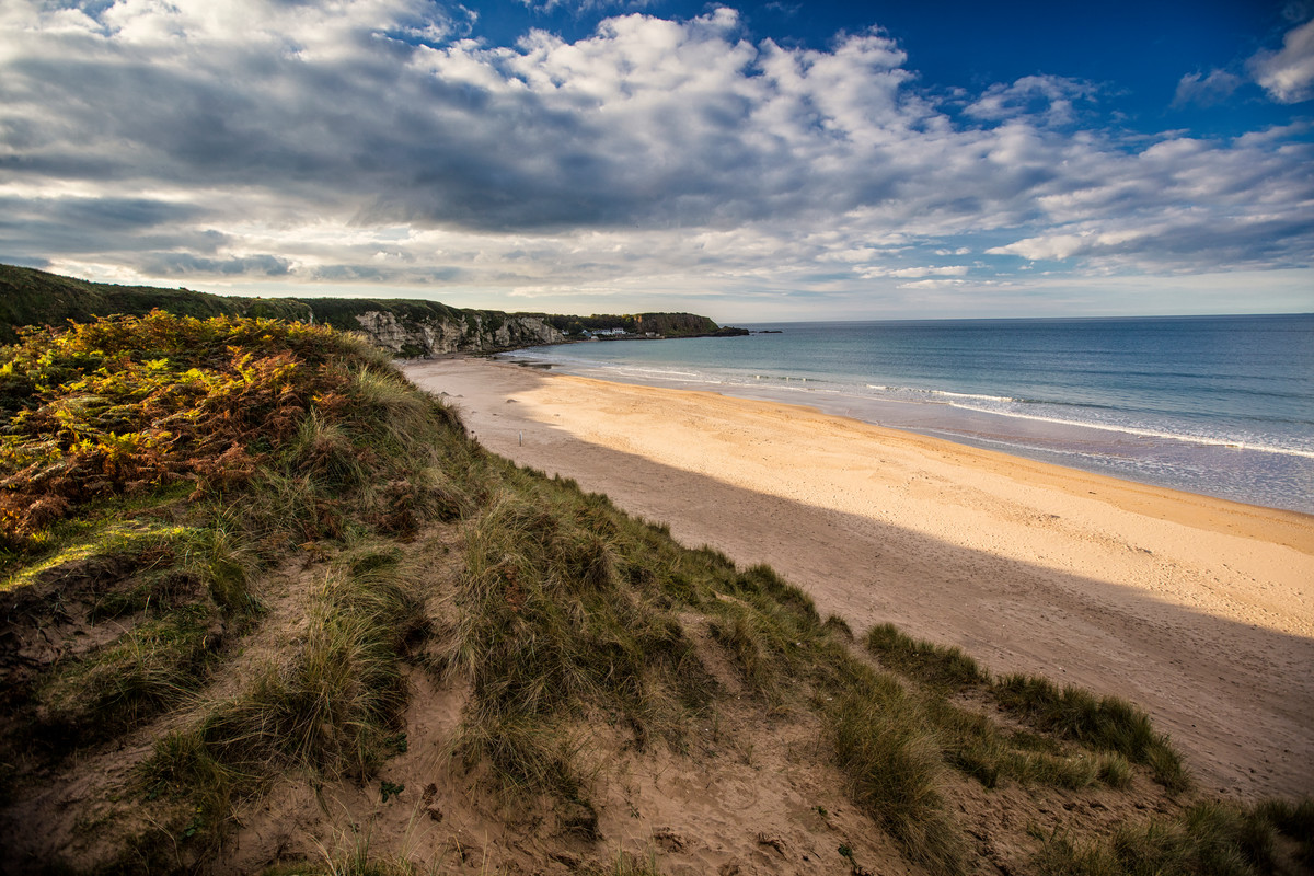 28103_White Park Bay