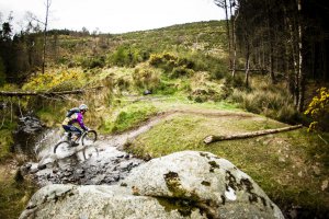 Things to do in Limerick