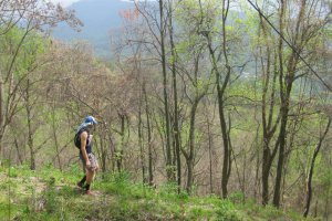 The Barkley Marathons