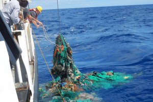 Ocean Clean Up