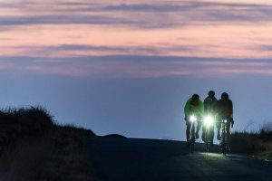 Night Rider Sportif