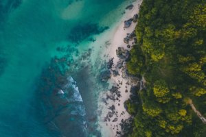Photo by Oliver Sjöström on Unsplash