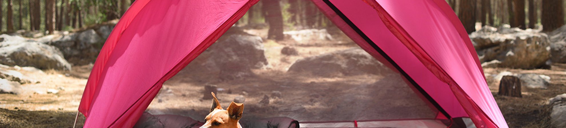 rhinowolf tent