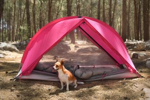 rhinowolf tent