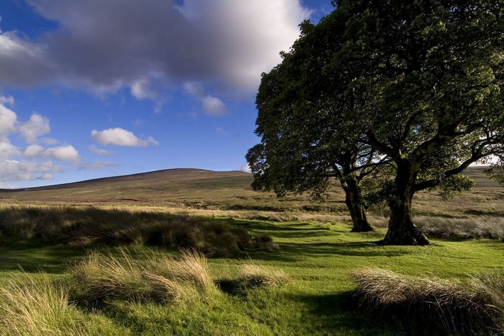 Things to do in Wicklow