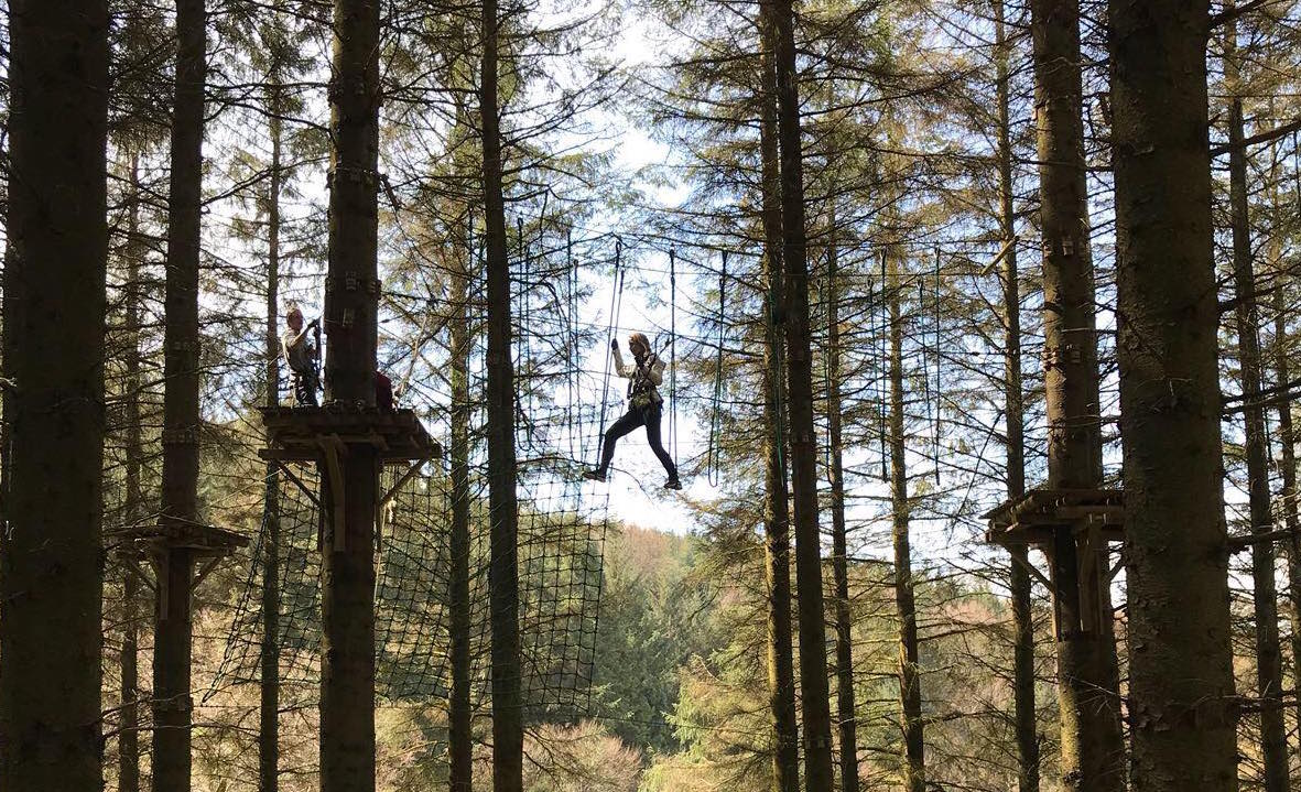 High Flyers: Tree-Top Adventures in The Dublin Mountains