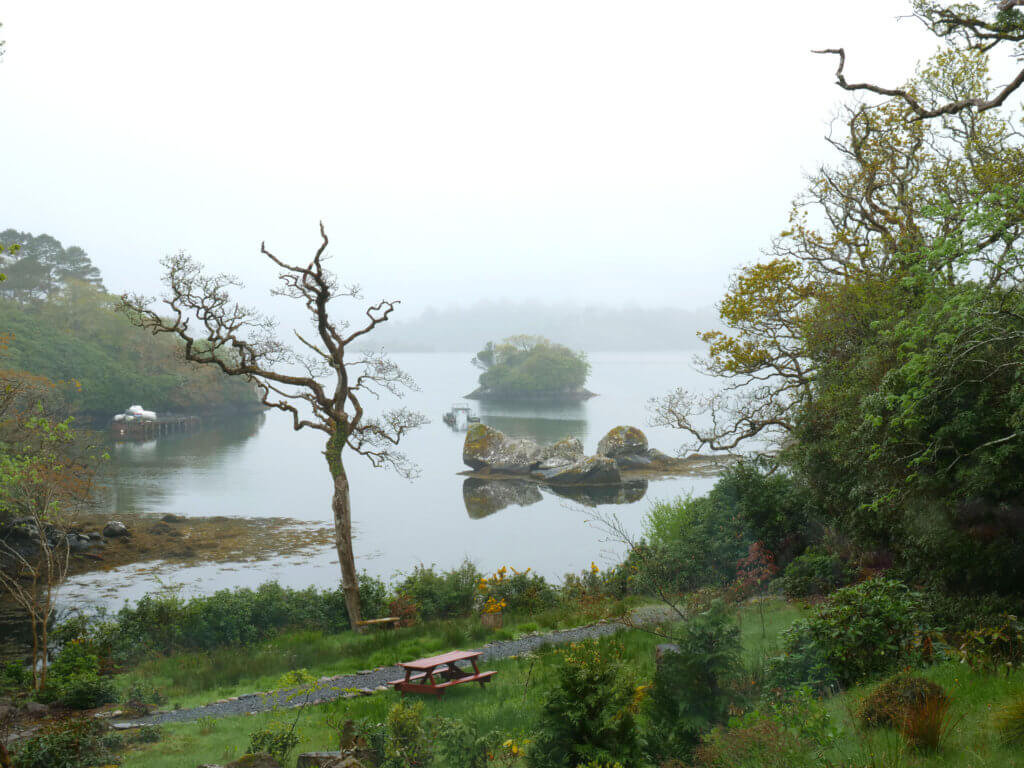 Camping in Cork