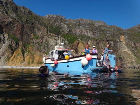 Whale Watching in Ireland