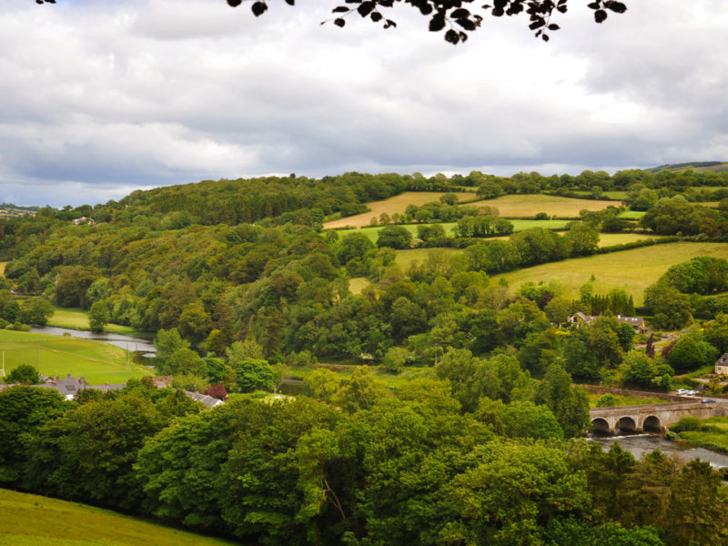 Walks In Kilkenny: 7 Of The Best 