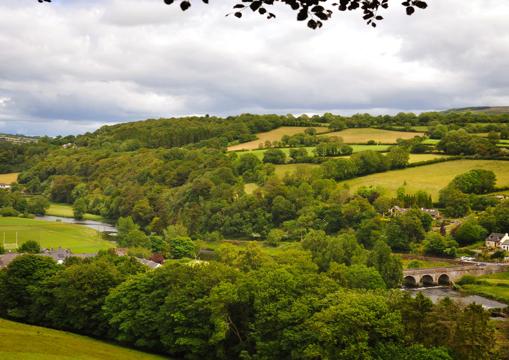 Walks in Kilkenny: 7 of the Best | Outsider Magazine