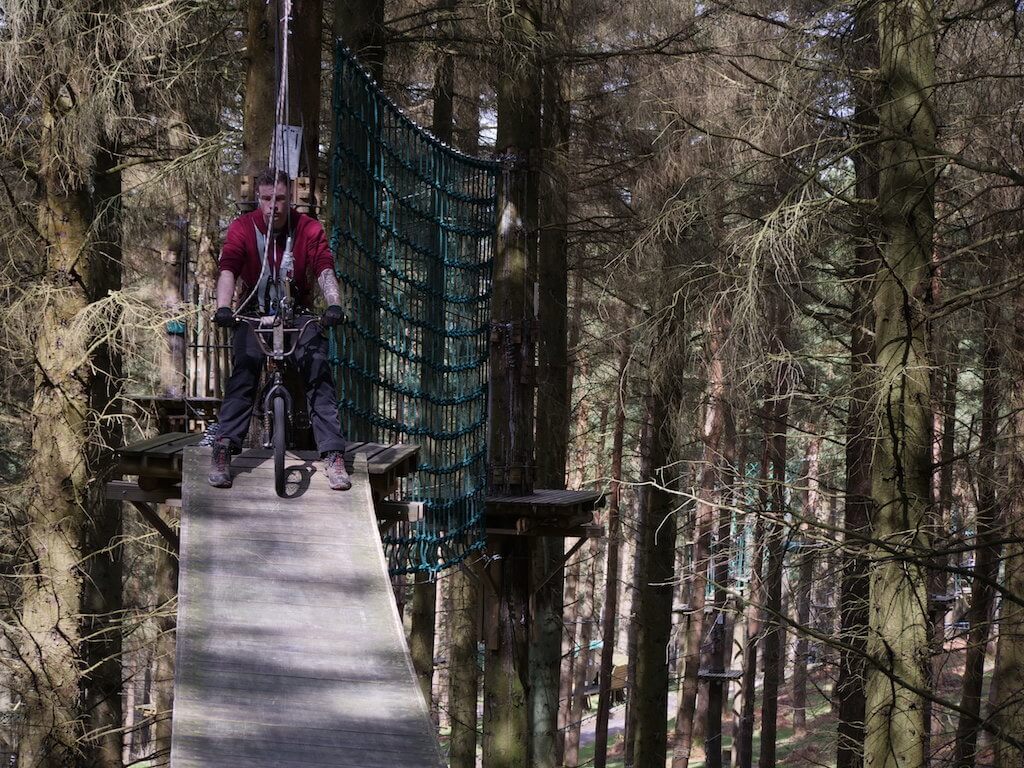 High Flyers: Tree-Top Adventures in The Dublin Mountains