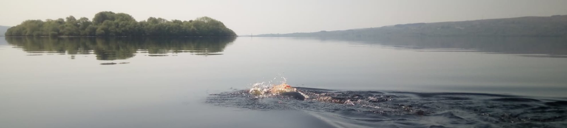 Paddy McDonnell Swimming the Shannon