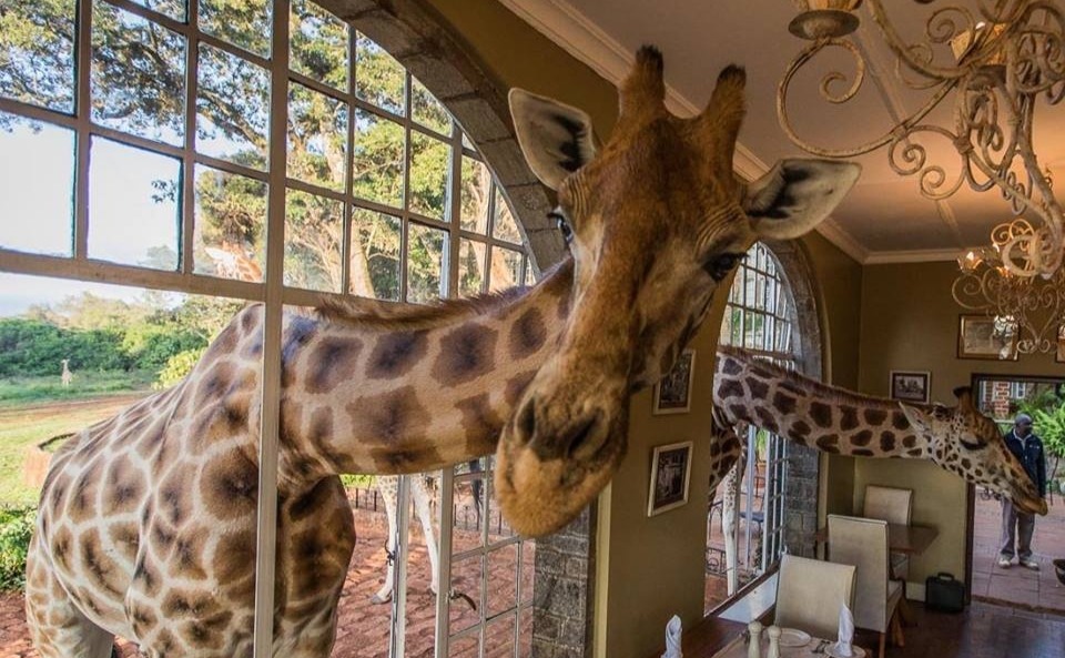 World's wackiest hotels