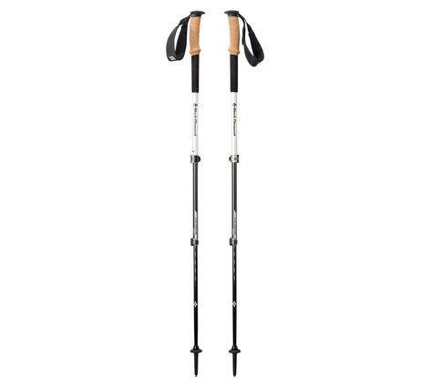 best walking poles